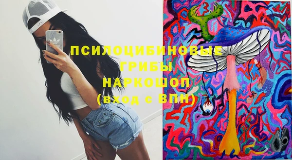 ПСИЛОЦИБИНОВЫЕ ГРИБЫ Алексеевка