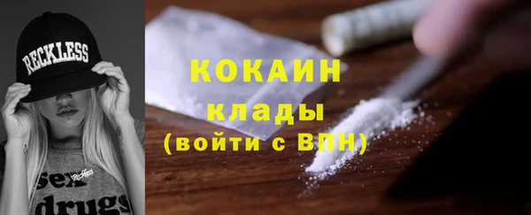 гидра Алексин
