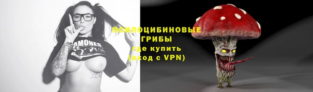 гидра Алексин