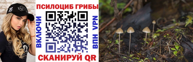 Псилоцибиновые грибы MAGIC MUSHROOMS  hydra ссылки  Оханск 