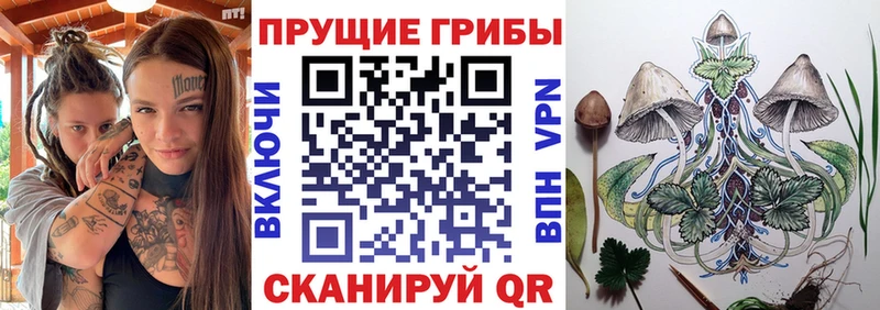 Галлюциногенные грибы MAGIC MUSHROOMS Оханск